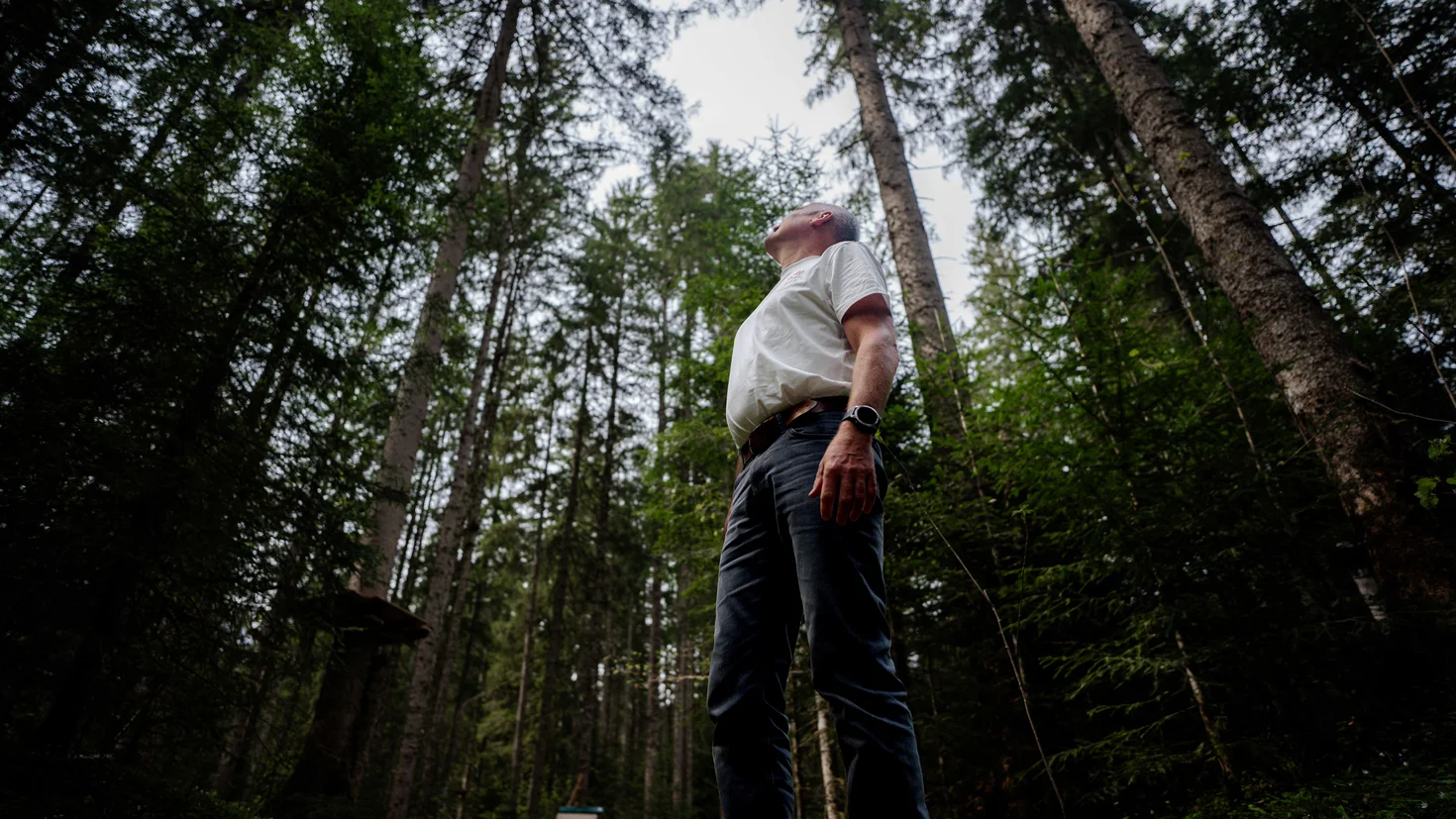 Der Wald als Rückzugsort.