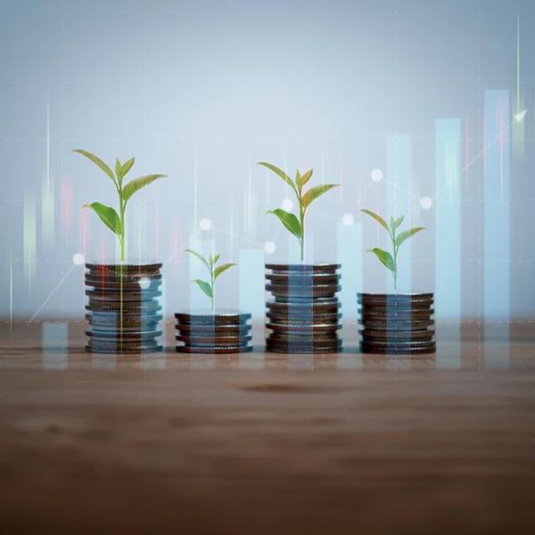 Foto von vier unterschiedlich großen Münzstapeln, aus denen kleine Pflanzen wachsen.