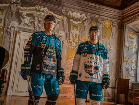 Dressenpräsentation