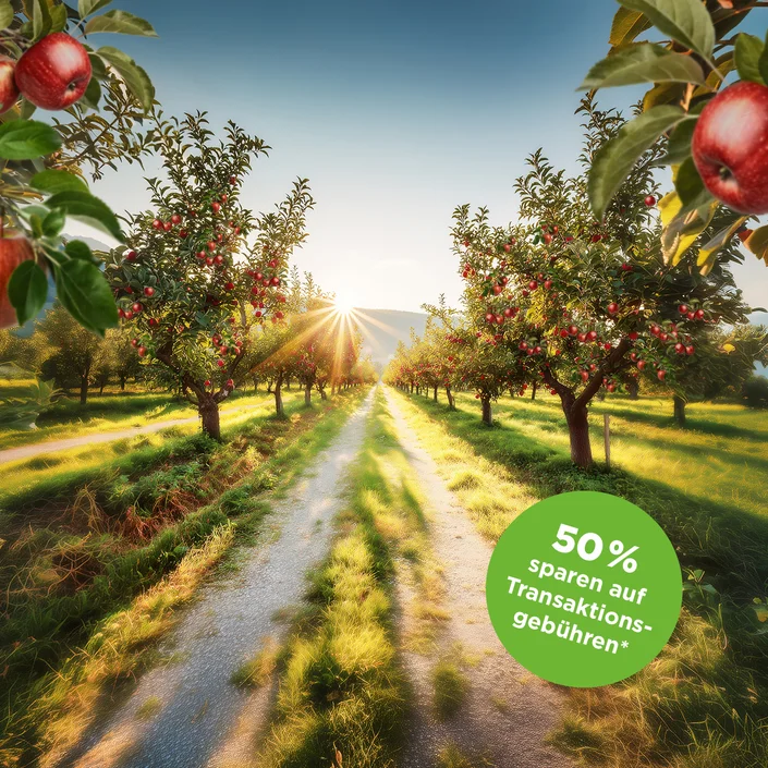 Imagebild zeigt einen Weg im Obstgarten