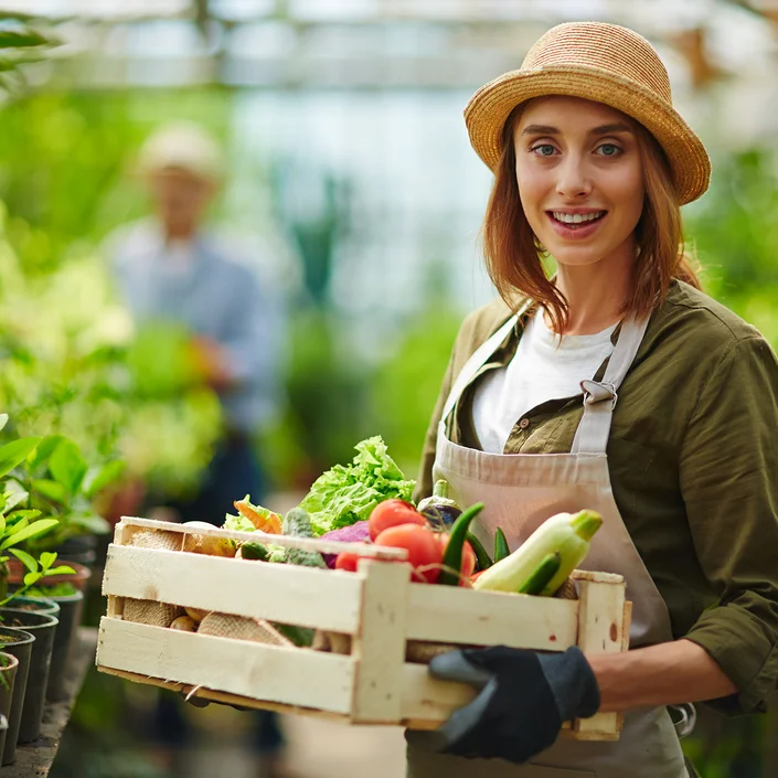 Eine Frau mit Hut in einem Gewächshaus, sie hält eine Schachtel voller Gemüse in den Händen.